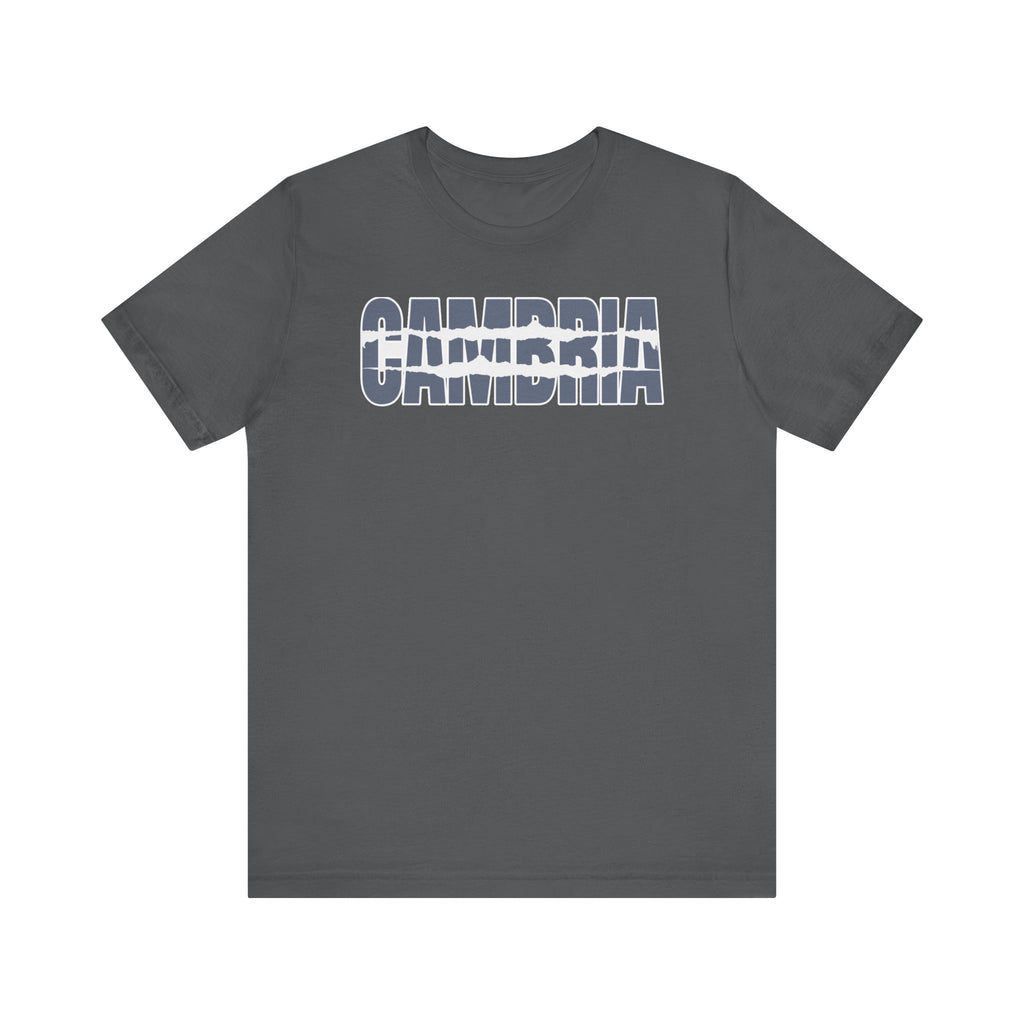Jersey Tee - Cambria Foggy Design